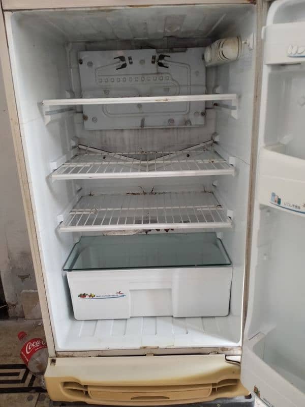 pel medium size refrigerator 3