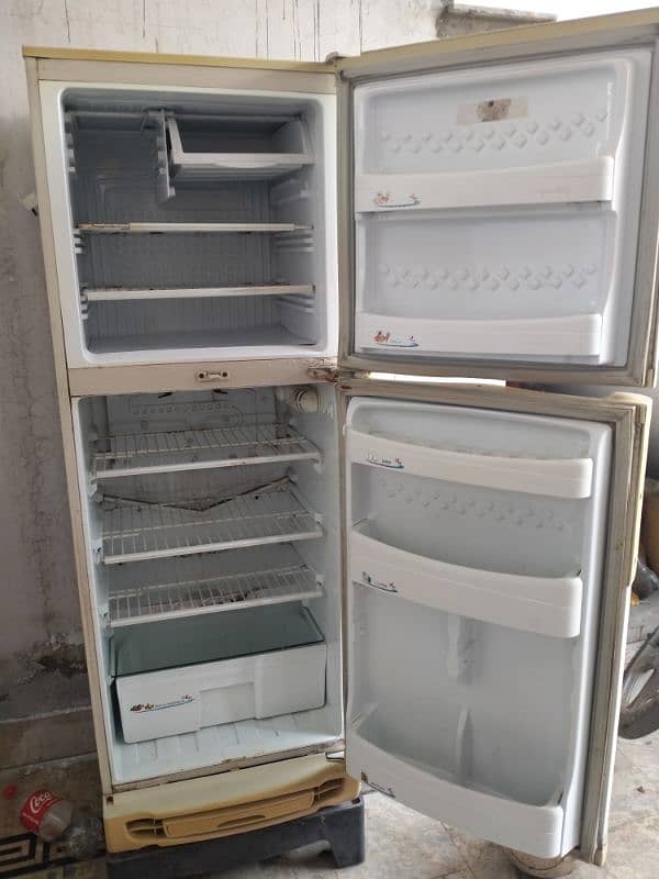 pel medium size refrigerator 5