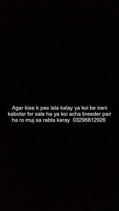 Agaar kise k pas irani ha to plz muj sa rabta kary