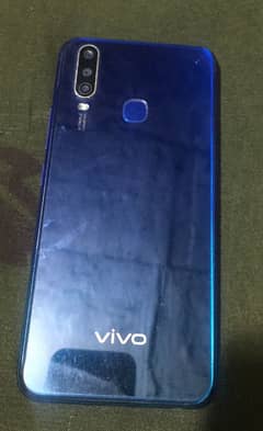 vivo