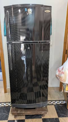 13 CFT, Waves Refrigerator