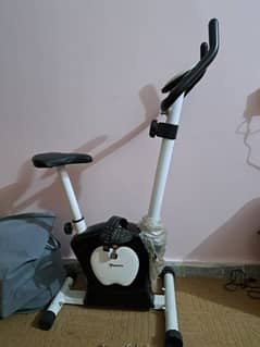 Magnetic Exercise Bike/Cycle - prime condition