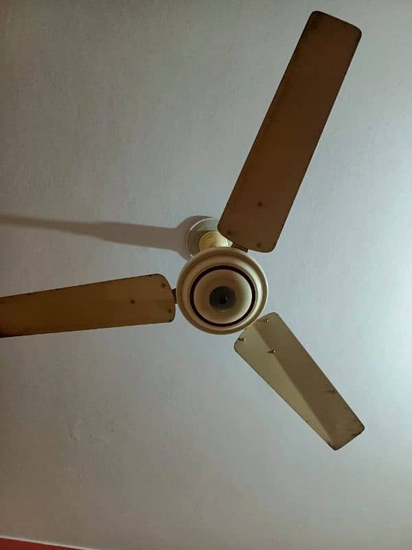 fan 2 set for sale 1