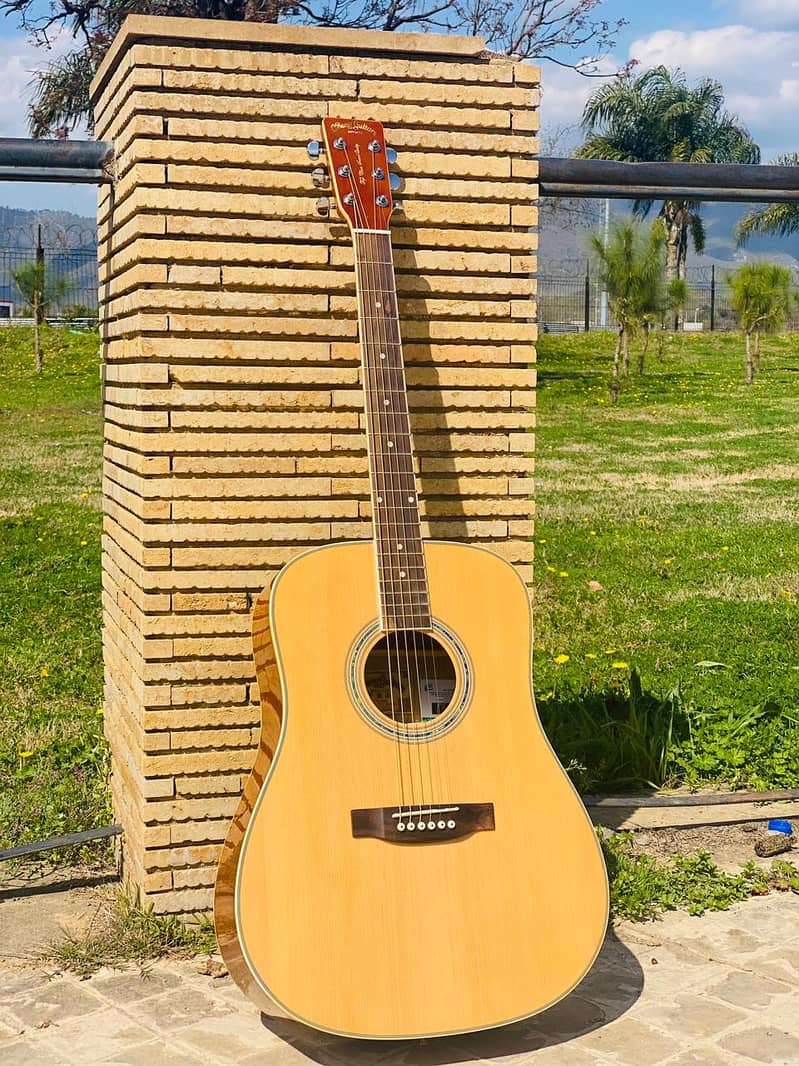 Guitars Vio. lins Ukuleles Musical instruments Best Guitar store 9