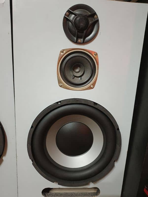 speakers 10 inch 1