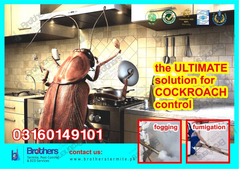 Pest control service,spray,fumigation,Deemak spray 0