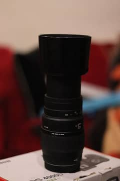 Sigma 70-300 Lens For Canon Mount || 10/10 Condition