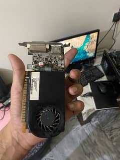 nvidia gtx 630 2GB