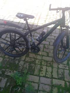 lazar star cycle in new condition 26 inch