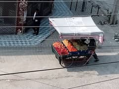 fruit and vegetable seller