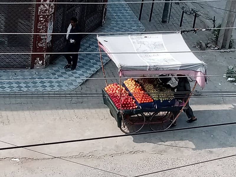 fruit and vegetable seller 0