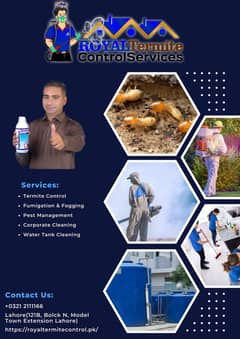 Termite control | Deemak control | Dengue spary,Fumgation Service