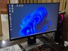 Dell 24" Monitor