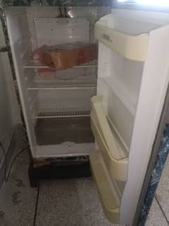 ful  size fridge