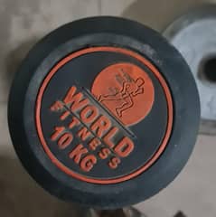 single 10kg dumbbell