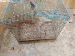 colony cage for sell