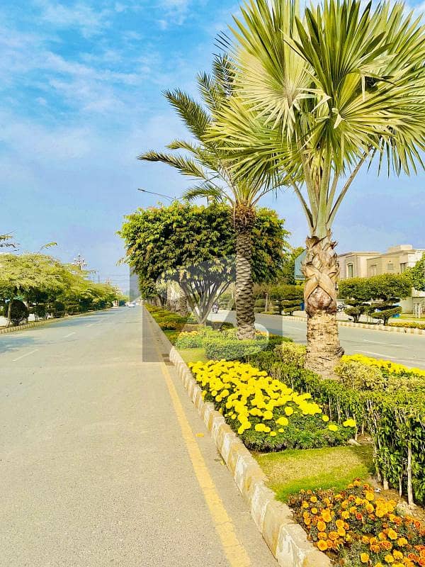 6.6 MARLA CORNER PLOT WITH DUES CLEAR AVAILABLE FOR SALE IN  DREAM GARDENS  LAHORE 2