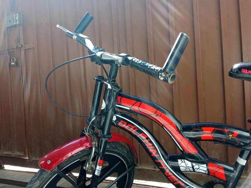 Dolphin River Bicycle – 20 Inch ‍ 2