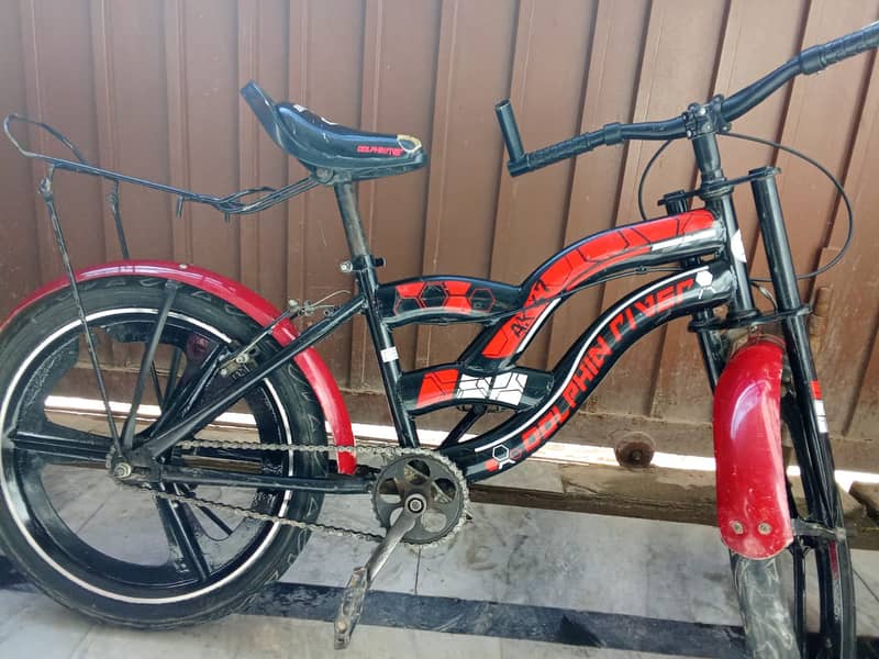 Dolphin River Bicycle – 20 Inch ‍ 4