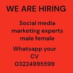 need social media marketing experts