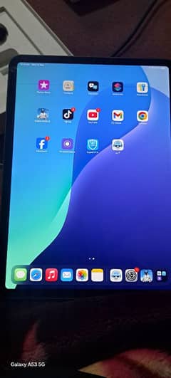 Ipad pro (11-inch 2018) 256GB sim working no open no repair All OK hai