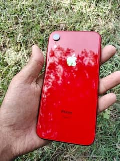 i phone xr