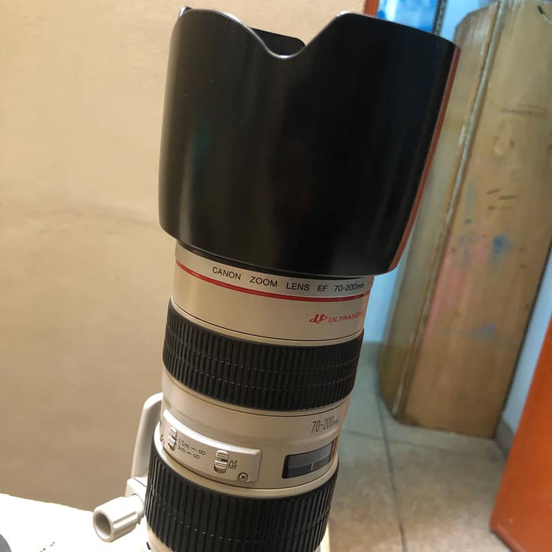 CANON ZOOM LENS EF 70-200mm 2.8 USM 1