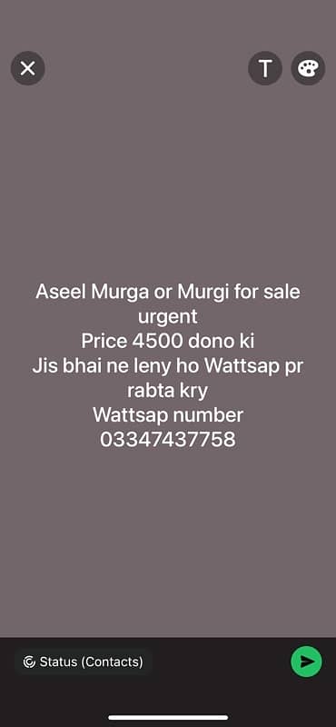 urgent sale 0