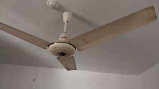 royal celling fan for sale