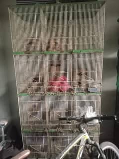 Cage for birds