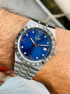 38mm tudor watch only