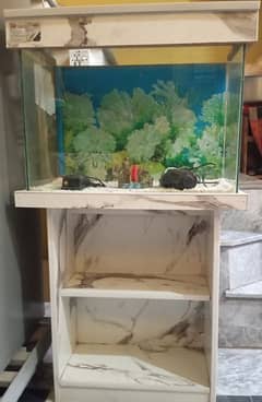 Fish Aquarium