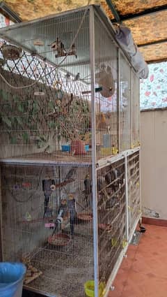 Bird Cage for sale Without Birds