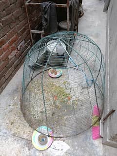 chicken cage steel pinjra