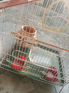 parrot cage for sale