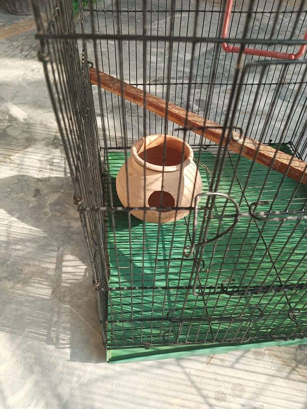 parrot cage for sale 1