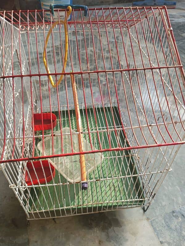 parrot cage for sale 2