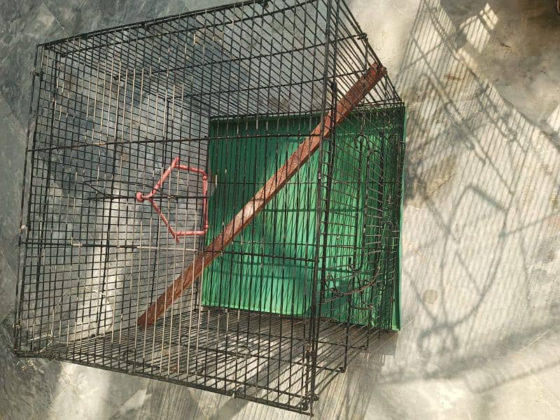 parrot cage for sale 3