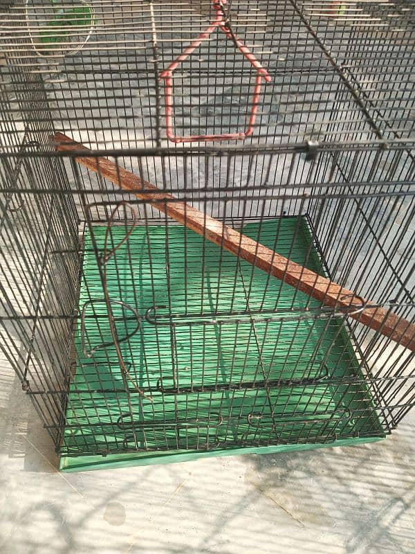 parrot cage for sale 5