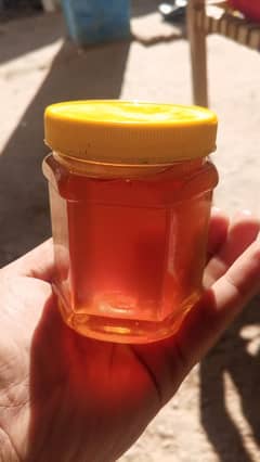 خیبرپختونخوا کی جنگلی شہد (Honey)– خالص، قدرتی، بے فکری سے خریدیں!