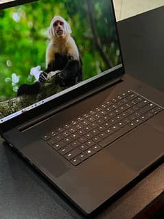 Razer Blade 17 i7 11th Gen 11800H RTX 3080 8GB 16GB 512GB