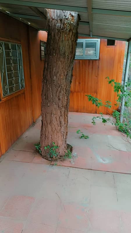 House for sale Murree 8