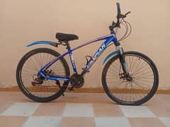 Caspian Bicycle Size 26