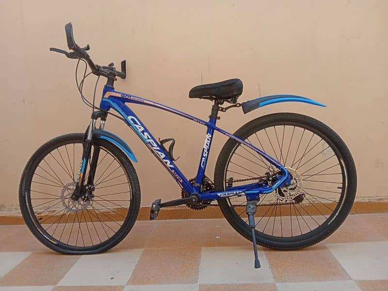 Caspian Bicycle Size 26 1