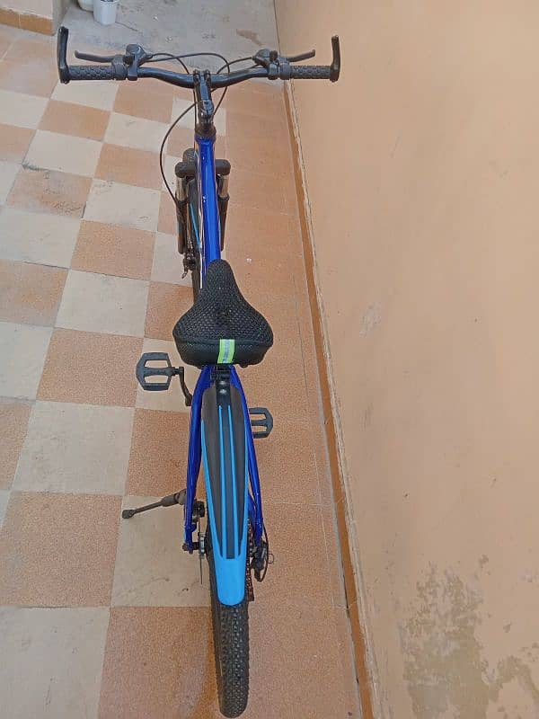 Caspian Bicycle Size 26 2