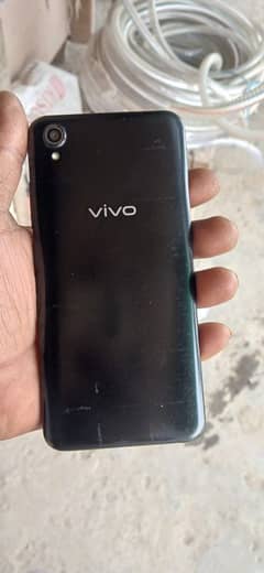 vivo