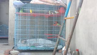 Birds Cage 4x4 Fits