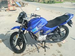 Yamaha YBR G 2021 model for sale