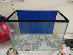 fish aquarium in good quality available