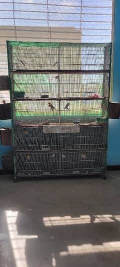 10 Portion folding cage with birds